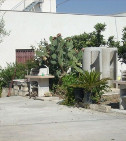 Ulivo Saraceno